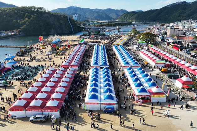 사과로 물든 청송…사과축제 11월4~8일 용전천서 개최