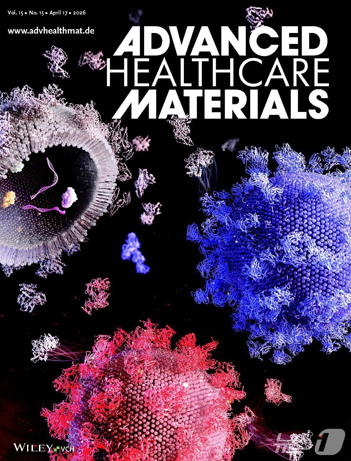 본문 이미지 - 국제학술지 'Advanced Healthcare Materials' 표지에 실린 단국대 이환규 교수 연구 이미지.(단국대 제공)