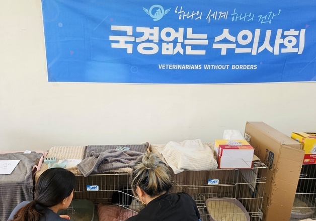 국경없는수의사회, 재개발 지역 길고양이 위해 광견병 예방접종