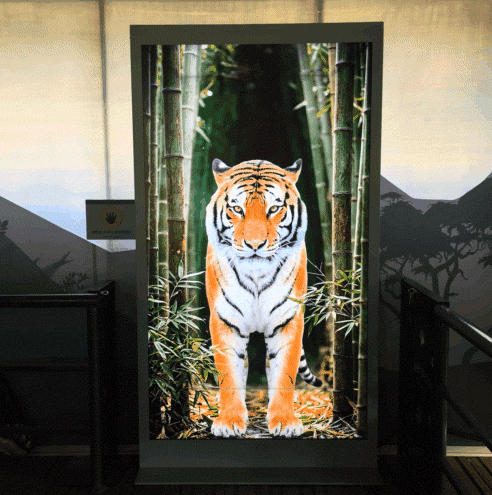 본문 이미지 - 스페이셜 사이니지는 안경 없이 즐기는 3D 입체감으로 탐험에 대한 관람객들의 기대감을 극대화한다.(삼성전자뉴스룸제공)