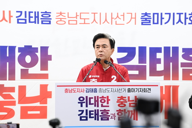 김태흠 