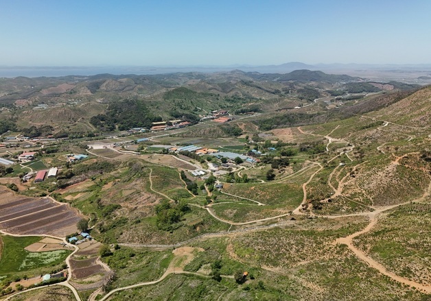 산림청, 대형산불피해지 조림복원사업 실태조사 착수