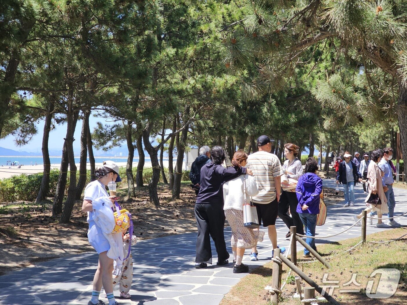 본문 이미지 - 9일 오후 부산 다대포 해수욕장 해변공원을 찾은 시민들이 나들이를 즐기고 있다. 2026.5.9 ⓒ 뉴스1 박민석 기자