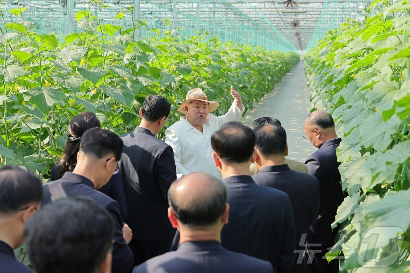 (평양 노동신문=뉴스1) = 북한 노동당 기관지 노동신문은 1일 김정은 동지께서 5월 31일 신의주온실종합농장을 현지지도 했다"고 보도했다.[국내에서만 사용가능. 재배포 금지. D …