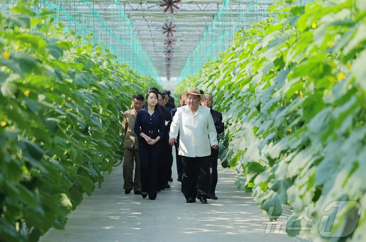 (평양 노동신문=뉴스1) = 북한 노동당 기관지 노동신문은 1일 "김정은 동지께서 5월 31일 신의주온실종합농장을 현지지도 했다"고 보도했다.[국내에서만 사용가능. 재배포 금지. …
