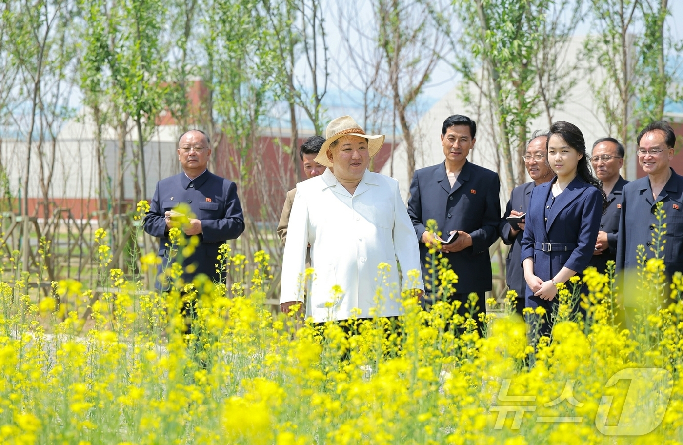 (평양 노동신문=뉴스1) = 북한 노동당 기관지 노동신문은 1일 "김정은 동지께서 5월 31일 신의주온실종합농장을 현지지도 했다"고 보도했다. 김 총비서는 이날 위화도의 유채꽃밭을 …