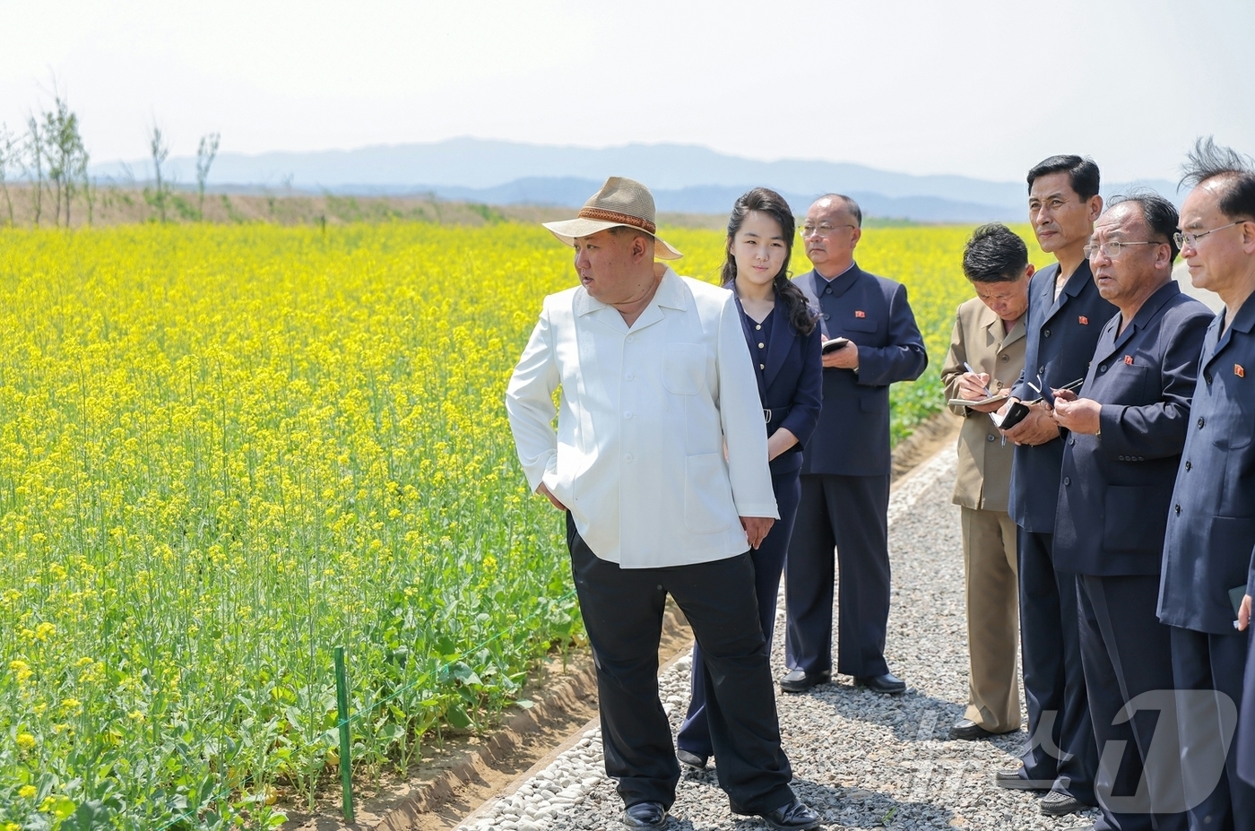 (평양 노동신문=뉴스1) = 북한 노동당 기관지 노동신문은 1일 "김정은 동지께서 5월 31일 신의주온실종합농장을 현지지도 했다"고 보도했다. 김 총비서는 이날 위화도의 유채꽃밭을 …