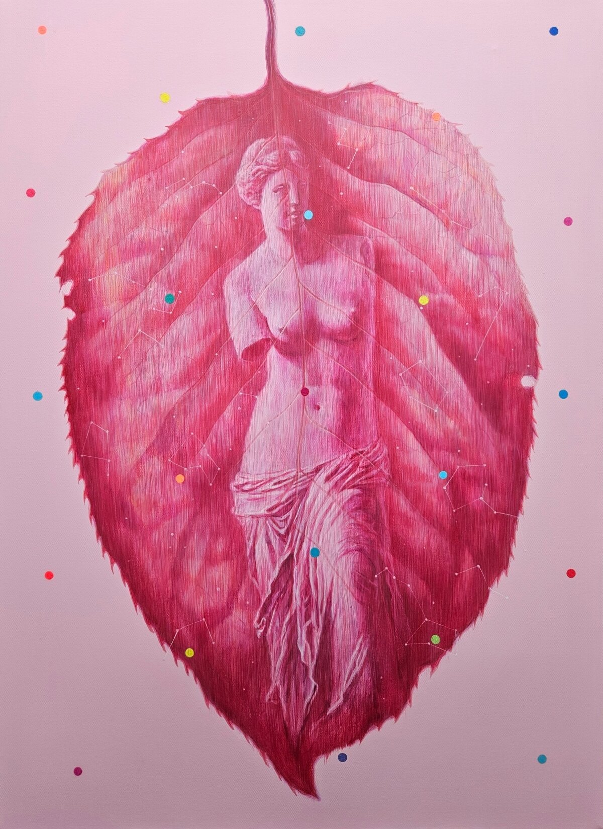 본문 이미지 - 강창훈, 시그널 Signal, 2026, Acrylic on canvas, 72.7&times;53.0cm(20P) (갤러리한결 제공)
