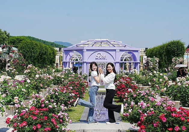 에버랜드 장미축제 이번 주 '절정'…개막 열흘 만에 20만 명 다녀갔다