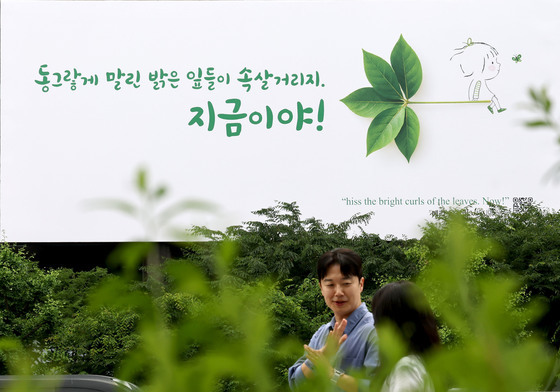 '동그랗게 말린 밝은 잎들이 속살거리지' 새 광화문글판 공개