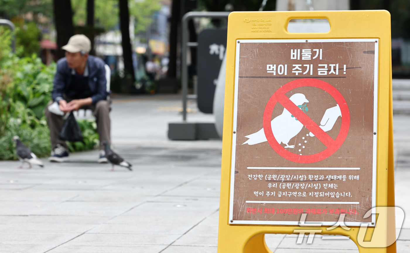 (서울=뉴스1) 최지환 기자 = 1일 서울 종로구 광화문광장에서 한 시민이 비둘기에 먹이를 주고 있다.서울시는 비둘기 먹이 주기 금지구역에 대한 단속을 강화하고 위반 시 과태료를 …