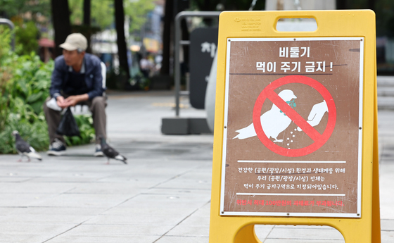 '비둘기 밥 주기' 오늘부터 집중 단속