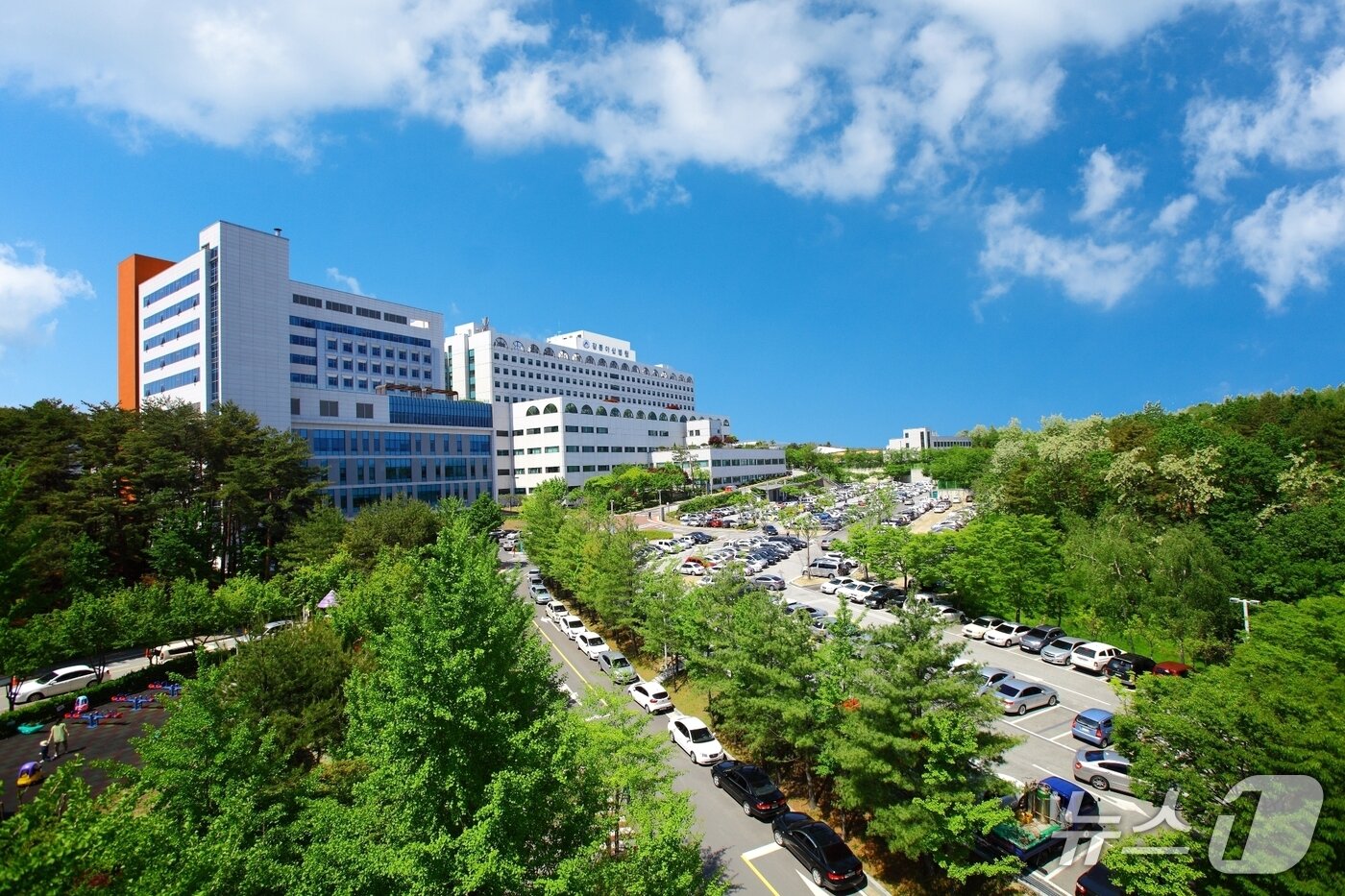 본문 이미지 - 강릉아산병원 전경.(강릉아산병원 제공, 재판매 및 DB 금지) 2026.6.10/뉴스1