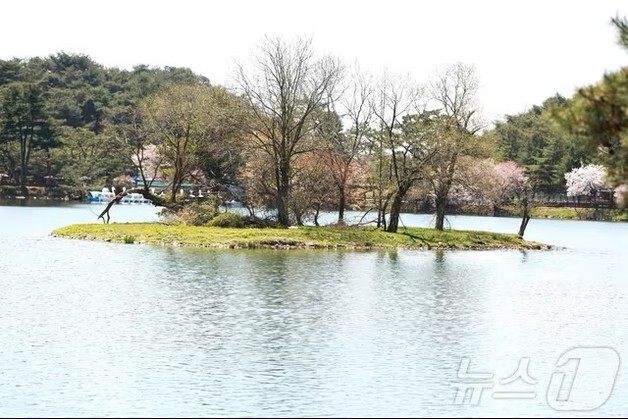 '가뭄·홍수·도심침수 대비' 제천시, 물순환 구축 사업 본격화