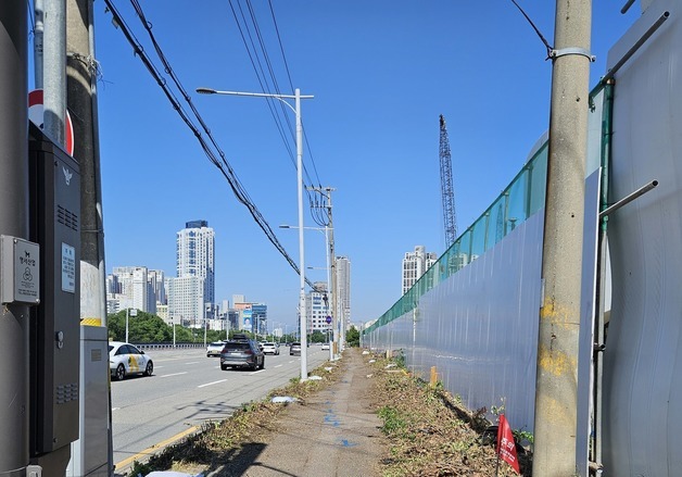 도심 허파 내주고 콘크리트 아파트…"가로수 보전 조례 필요"