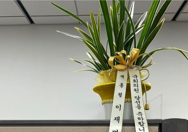 靑, 재보선 14명에 '李대통령 축하난'…김태규 "난이 무슨 죄" 수령(종합2보)