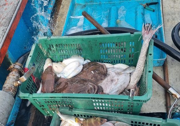 군산 해상서 하루 새 불법 조업·승선원 미신고 어선 3척 적발
