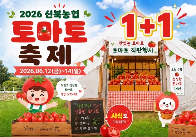 "소양강 토마토 맛보러 오세요"…춘천 신북농협, 12일부터 토마토 축제