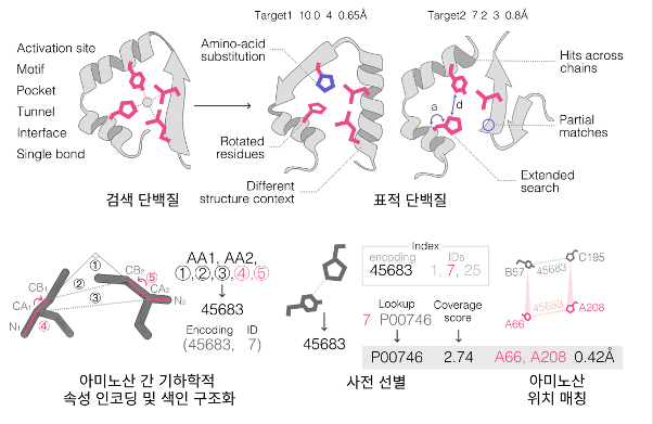 수억개 단백질 구조 초고속 탐색하는 검색 도구 '폴드디스코' 개발