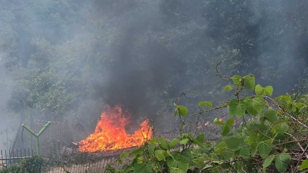 삼척 가곡면서 산불…헬기 2대 투입 진화 중