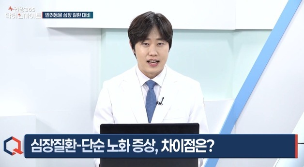 김예원 수의사 "반려동물 심장병, 가장 쉬운 확인법은 호흡수"