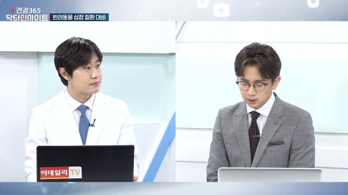 본문 이미지 - 김예원 더케어동물의료센터 대표원장은 지난 10일 이데일리TV '건강365 : 닥터인사이트'에 출연해 강아지와 고양이에서 흔하게 발생하는 심장질환의 조기 발견 중요성을 설명했다(이데일리TV 유튜브 갈무리). ⓒ 뉴스1