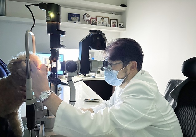 이룸안과치과동물병원, 안양서 확장 이전…"안과·치과 특화 진료"