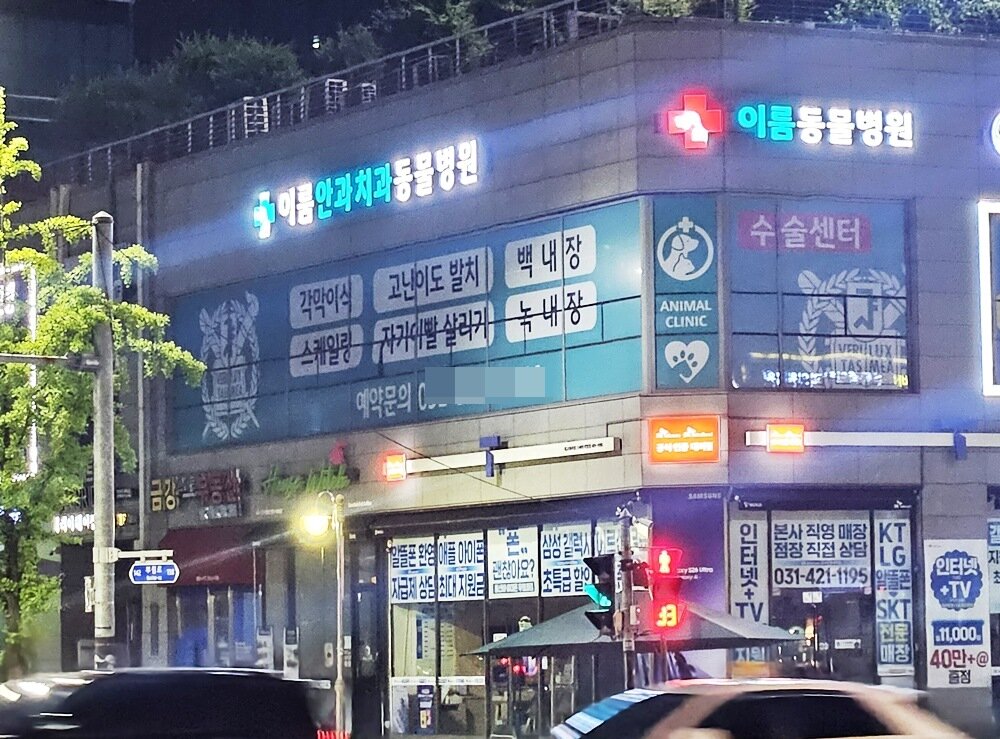 본문 이미지 - 최근 확장 이전한 이룸안과치과동물병원 외부 전경(동물병원 제공) ⓒ 뉴스1