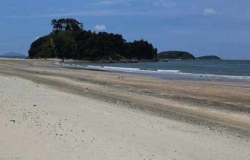 본문 이미지 - 독산해수욕장 해변 모습.(보령시 제공. 재판매 및 DB금지)/뉴스1