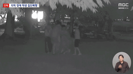 "산 달팽이 먹이고, 속옷 벗겨 촬영"…또래에 몹쓸 짓 한 남녀 중학생[영상]