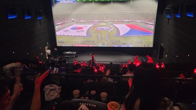 "고마워 태극전사"…충북 월드컵 응원, 다함께 부둥켜 안았다(종합)