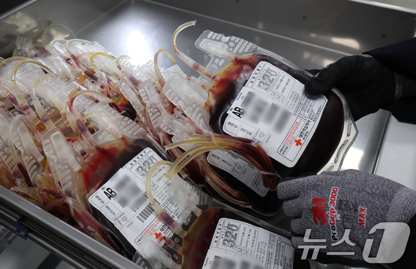 (수원=뉴스1) 김영운 기자 = 헌혈자의 날을 이틀 앞둔 12일 경기 수원시 영통구 대한적십자사 경기혈액원 혈액 보관냉장고에서 직원이 혈액을 정리하고 있다.헌혈자의 날은 생명나눔을 …