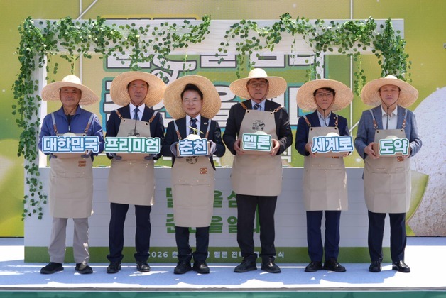 춘천시, 프리미엄 멜론 시장 도전…'하니원' 기반 브랜드 육성 본격화