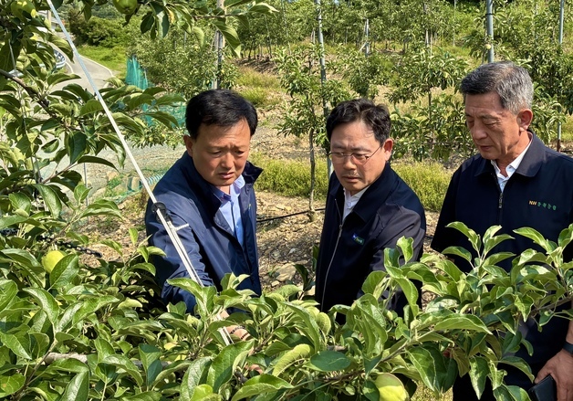 충주·제천 과수원·밭 60㏊ 우박 피해…충북농협 긴급 현장 점검