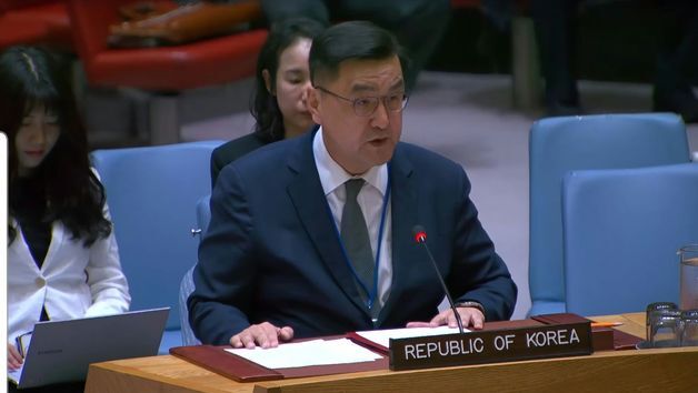 중동평화 정부대표, 안보리 회의서 "중동 상황 평화적 해결" 강조