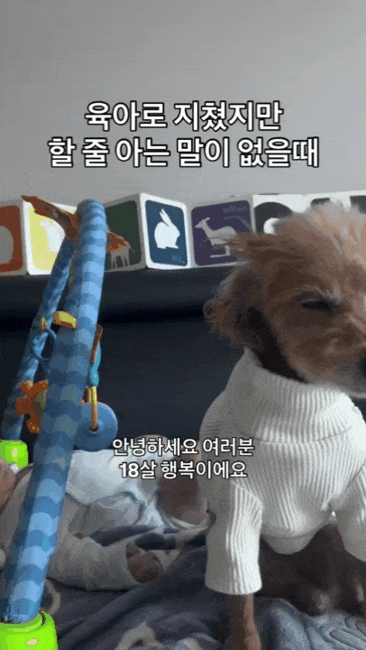 본문 이미지 - 육아에 지친 행복이 시점 당부의 말(인스타그램 eeyah_o 제공) ⓒ 뉴스1