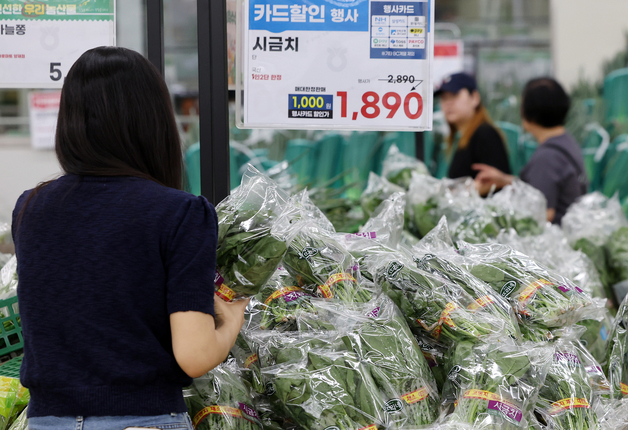 시금치 가격 18% 상승… 여름철 앞두고 '채소값 들썩'