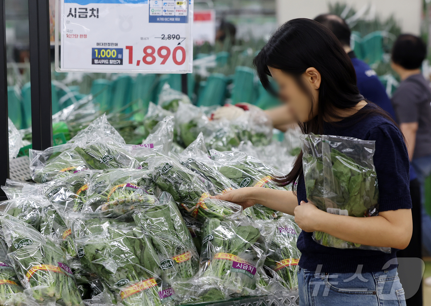 (서울=뉴스1) 김진환 기자 = 여름철을 앞두고 일부 채소 가격이 오르면서 장바구니 물가 부담이 커질 수 있다는 우려가 나온다.한국농수산식품유통공사(aT) 카미스(KAMIS)에 따 …