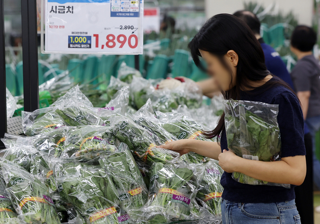 시금치 전월보다 18% 상승… 여름철 앞두고 '채소값 들썩'