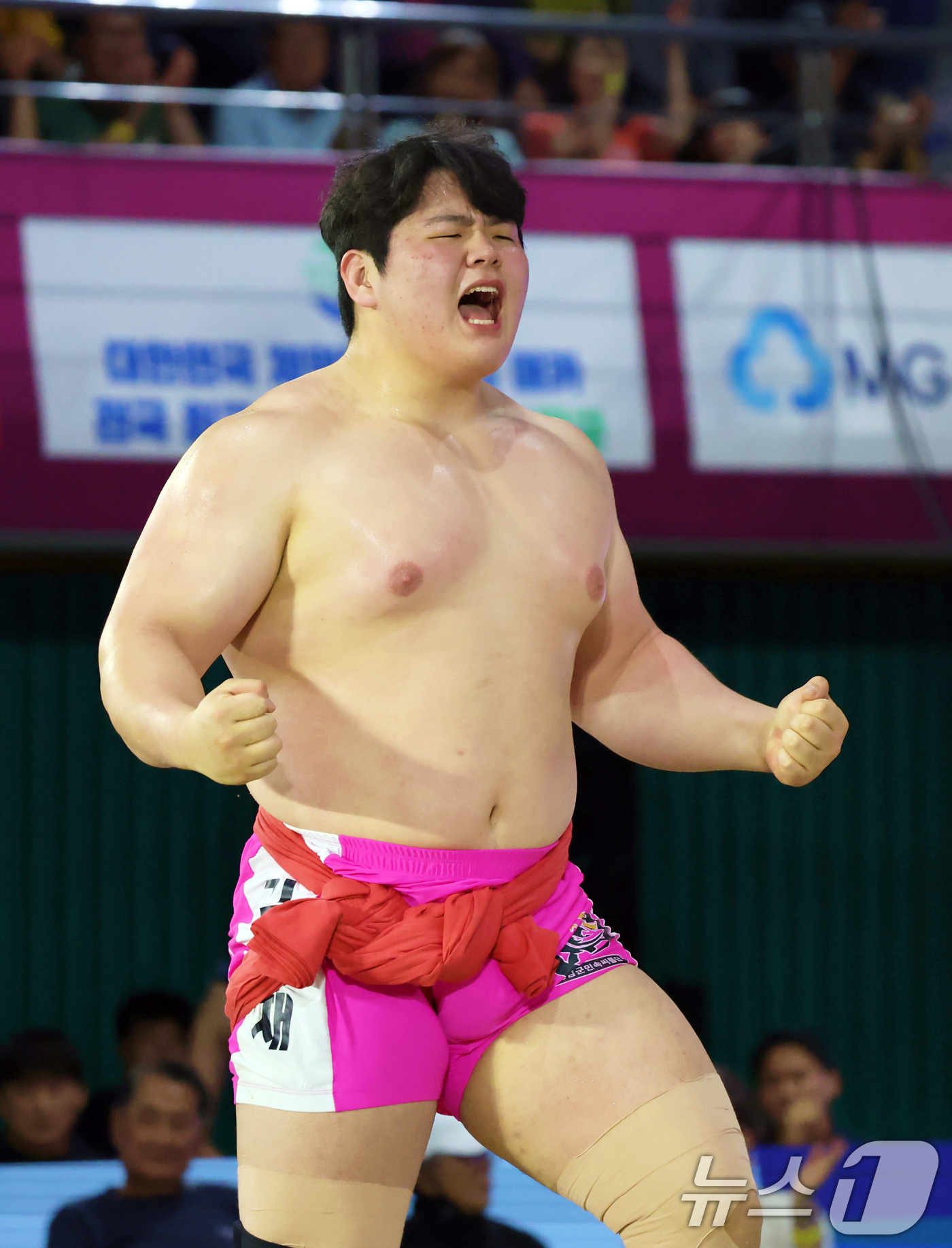 (서울=뉴스1) = 14일 충북 보은군 보은국민체육센터에서 열린 ‘위더스제약 2026 보은단오장사씨름대회’에서 백두장사에 오른 김민재(영암군민속씨름단)가 우승을 확정 지으며 환호하 …