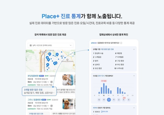 "재방문률 높은 동물병원은?"…네이버 '플레이스 플러스'로 찾는다