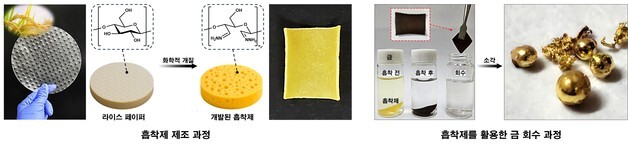 식품 소재 '라이스 페이퍼'를 폐수 속 금 회수하는 흡착제로 전환