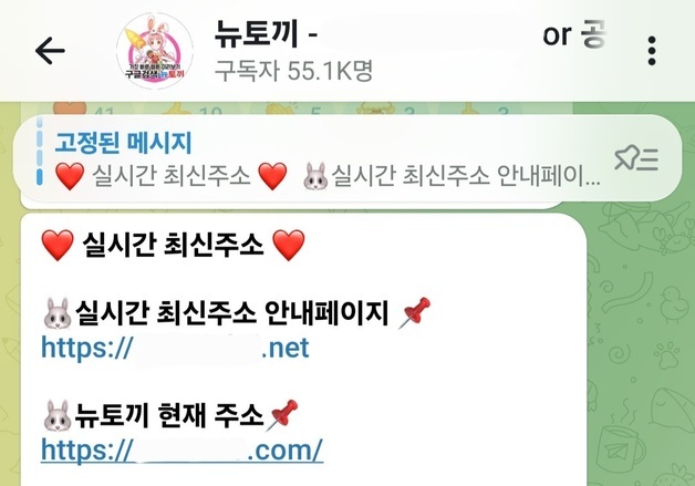 긴급차단 비웃듯 '제2의 뉴토끼' 활개…운영진 체포에 근절 주목