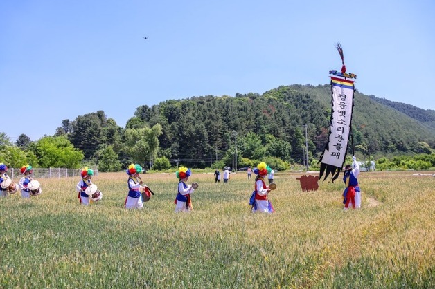 양평군, 제4회 양평 밀 축제 개최…이틀간 1만3000명 찾아