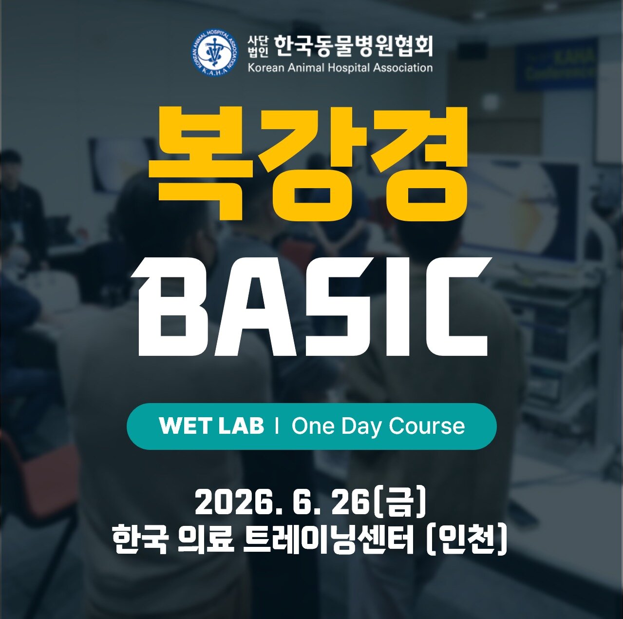 본문 이미지 - 한국동물병원협회는 오는 26일 송도에서 복강경 웻랩 베이직 원데이 코스를 진행한다고 밝혔다(협회 제공). ⓒ 뉴스1