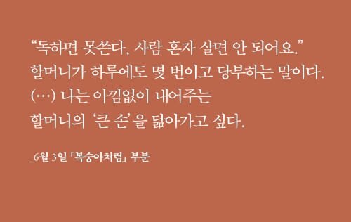 본문 이미지 - 시인 홍지호의 첫 산문집인 '참다 참다 초록을 흘리고'는 여름을 버거워하는 몸과 마음이 6월을 지나며 조금씩 계절 안으로 들어가는 과정을 묶어낸다. 홍지호는 복숭아, 장마, 노을, 복싱 같은 장면을 따라 흔들리는 생활의 감각과 사랑하는 사람들에게 내어주고 싶은 마음을 한 달의 기록으로 펼친다.