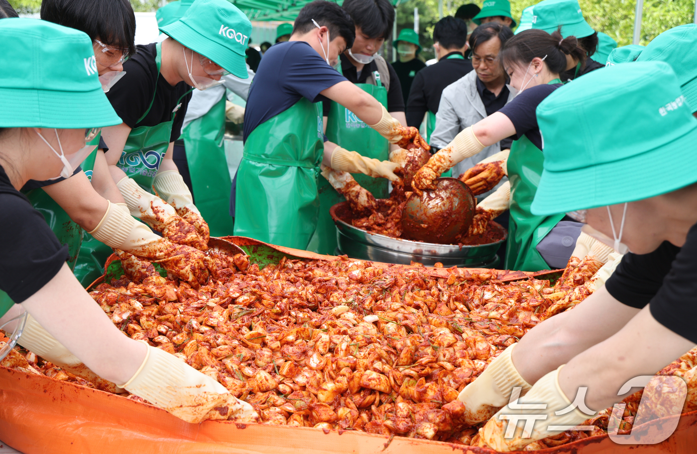 (익산=뉴스1) 유경석 기자 = 16일 전북 익산시 한국농업기술진흥원에서 열린 국산 양파 소비촉진 상생 캠페인에서 관계자들이 양파 김치를 담그고 있다. 2026.6.16/뉴스1