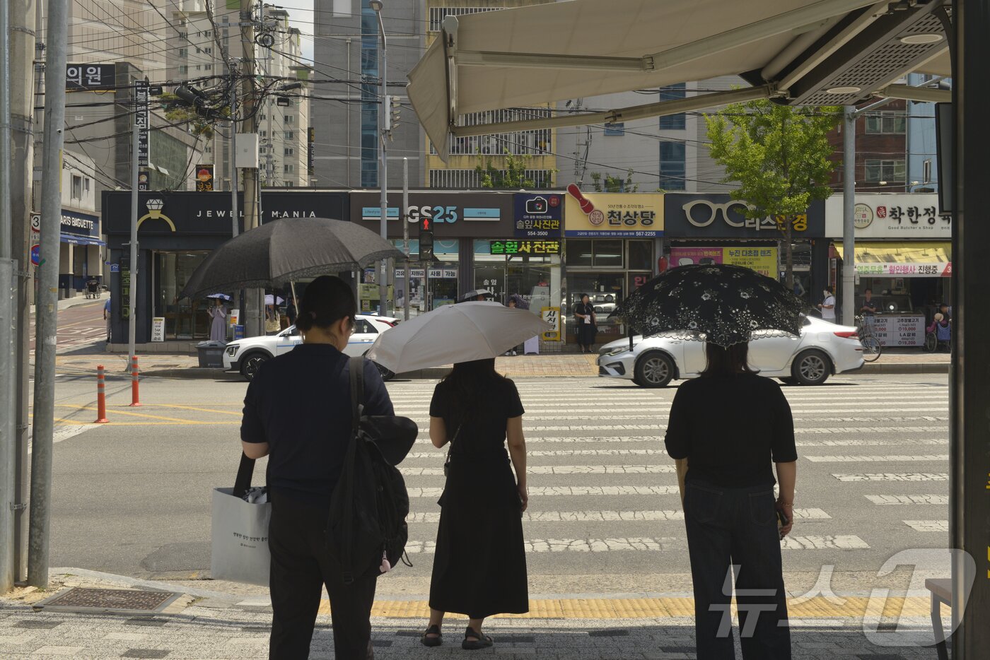 본문 이미지 - 16일 오후 대구 서구청 인근 횡단보도에서 시민들이 양산을 쓴 채 신호를 기다리고 있다. 이날 대구·경북 대부분 지역의 낮 기온이 30도를 웃돌며 무더운 날씨를 보였다. 2026.6.16 ⓒ 뉴스1 이성덕 기자