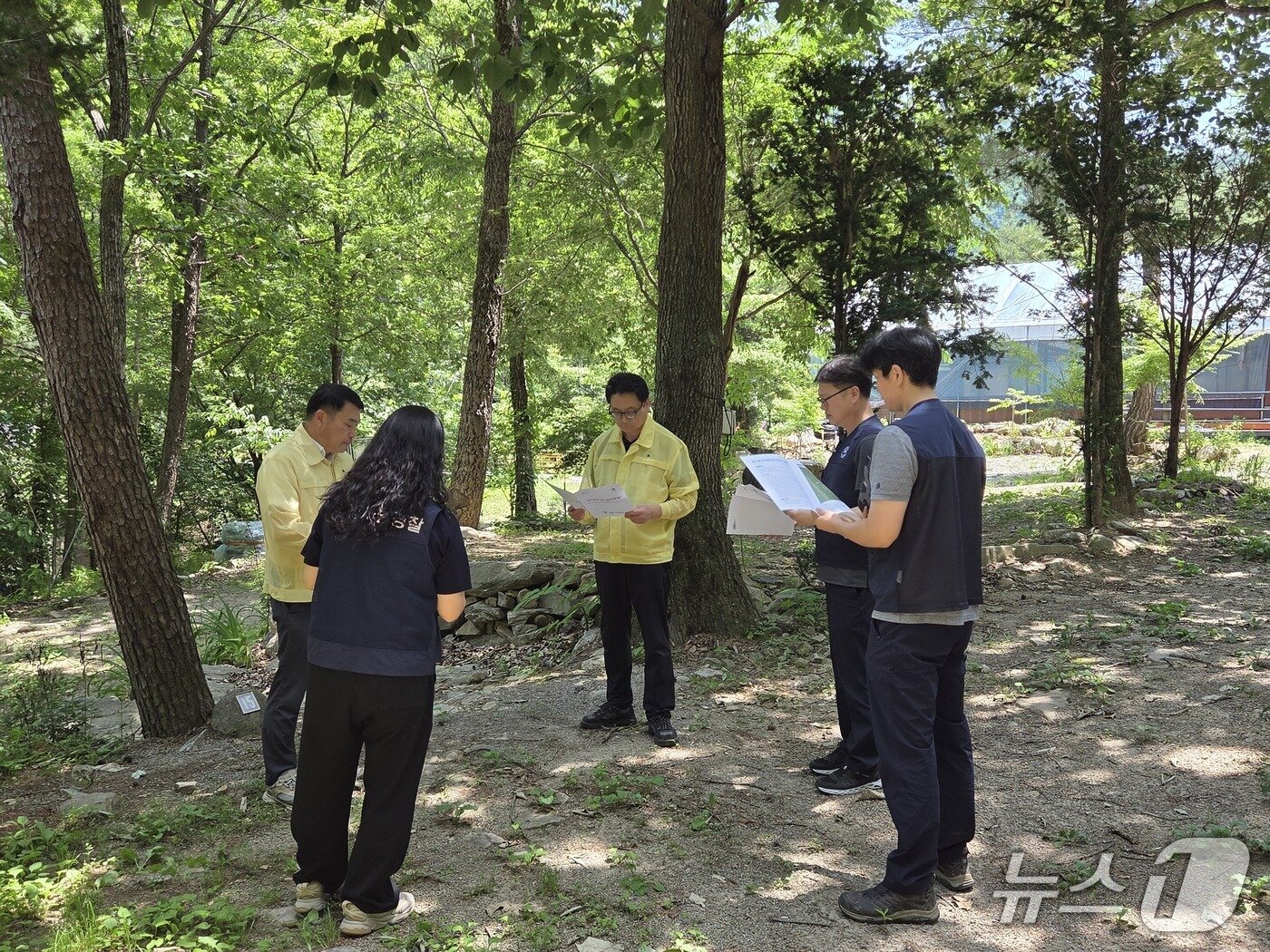 본문 이미지 - 동부지방산림청, 영월 계곡 불법시설 정비현장 점검.(동부산림청 제공, 재판매 및 DB 금지) 2026.6.16/뉴스1