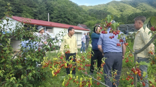 전춘성 진안군수, 농업 현장 찾아 '용수 공급 대책' 점검